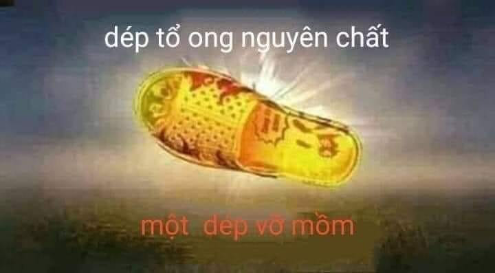 Meme ⚡ Dép tổ ong nguyên chất, một dép vỡ mồm