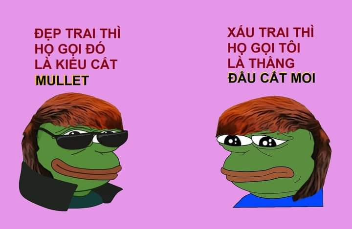 Meme ⚡ Đẹp trai thì gọi là mullet, xấu trai thì gọi là đầu cắt moi