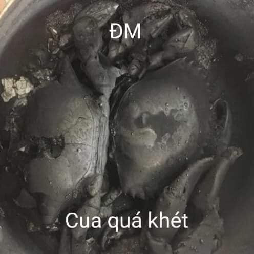 Meme ⚡ Đm cua quá khét – cua bị nấu cháy đen như than