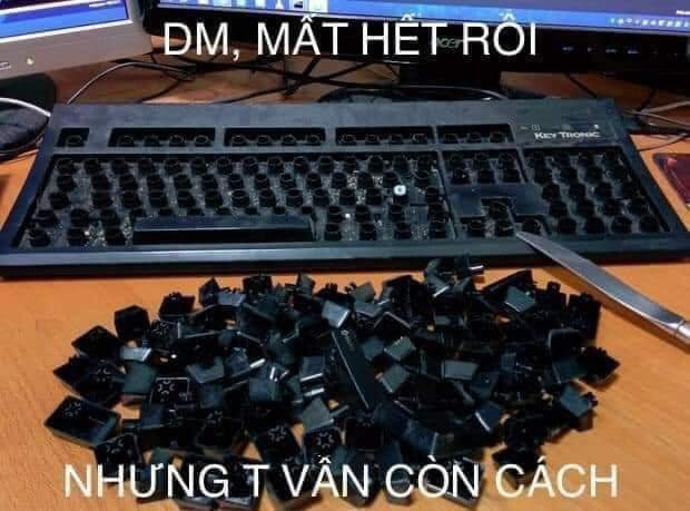 Meme ⚡ Đm mất hết rồi, nhưng tao vẫn còn cách