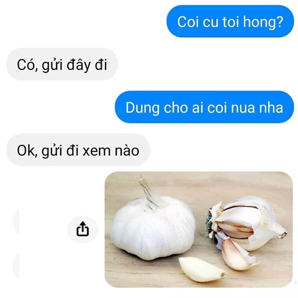 Meme ⚡ Đoạn chat coi cu toi khong (coi củ tỏi không)