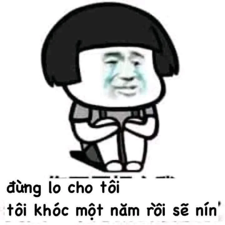 Meme ⚡ Đừng lo cho tôi, tôi khóc một năm rồi sẽ nín