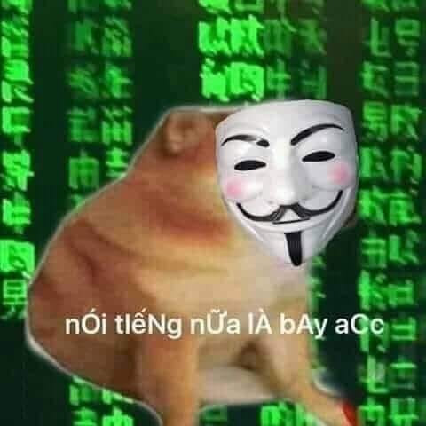 Meme ⚡ Chú chó đeo mặt nạ dọa bay acc