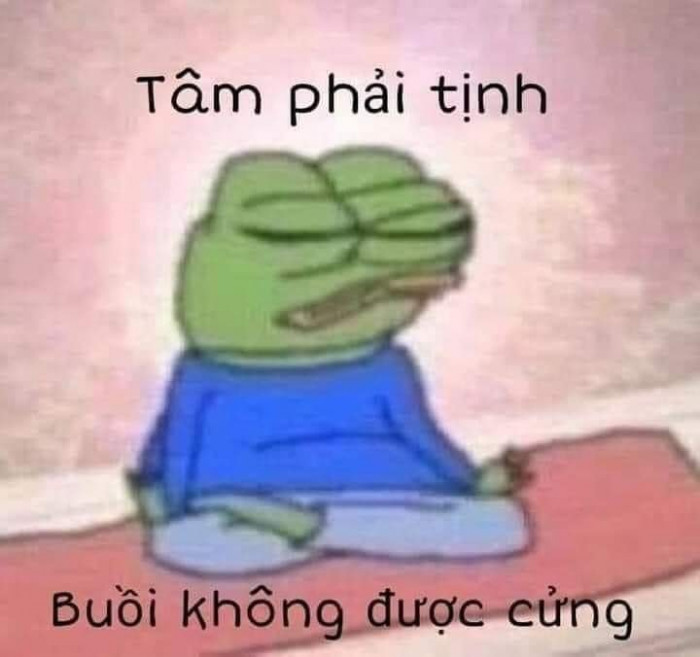 Meme ⚡ Ếch ngồi thiền nói tâm phải tịnh, buoi không được cửng