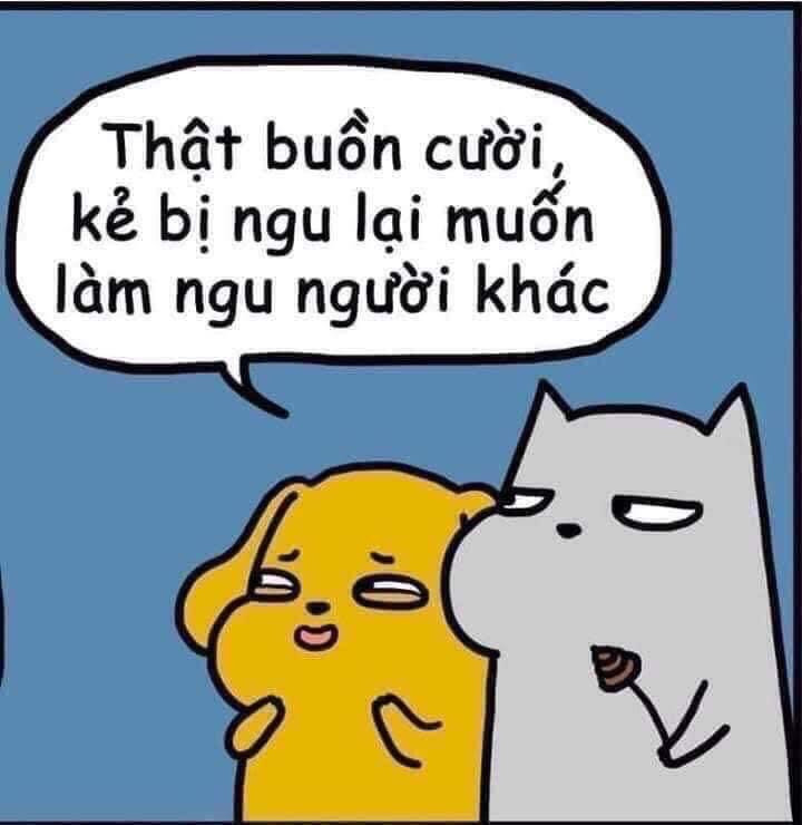 Meme ⚡ Thật buồn cười kẻ bị ngu lại muốn làm ngu người khác