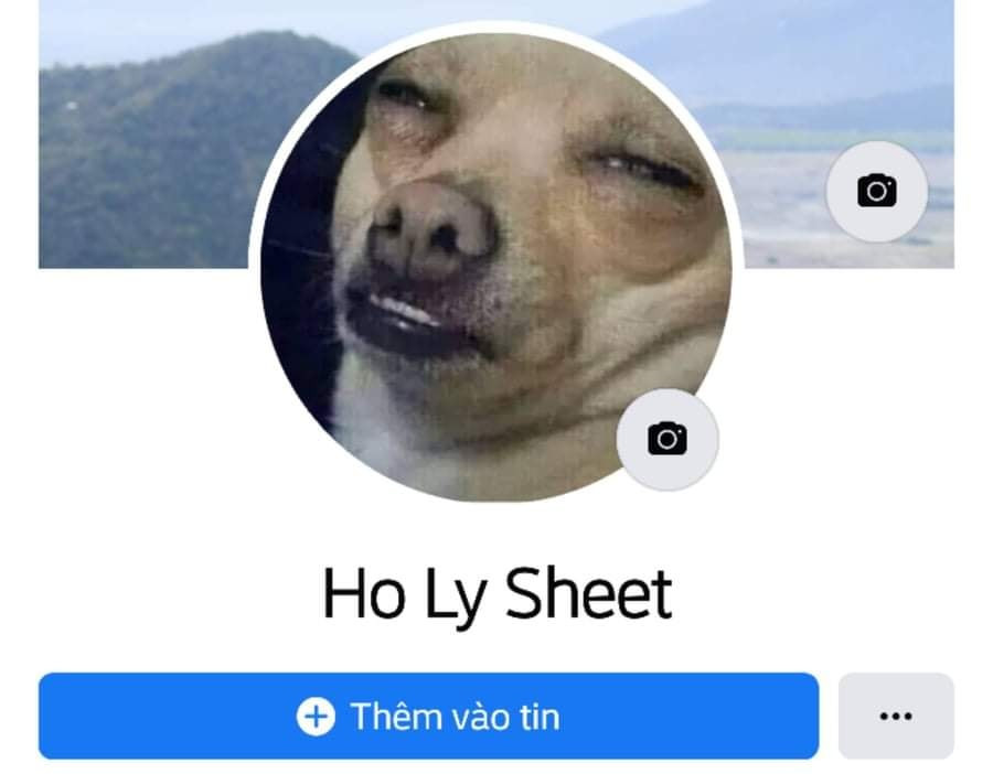 Meme ⚡ Facebook có avatar là chú chó với tên Holy Sheet