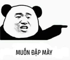 Meme ⚡ Muốn đập mày – gấu trúc chỉ tay và nói