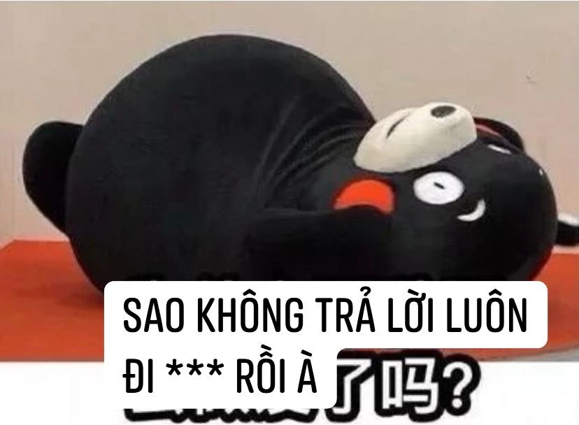 Meme ⚡ Gấu đen nằm nói sao không trả lời luôn, đi *** rồi à?