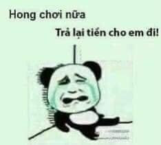 Meme ⚡ Gấu khóc nói hong chơi nữa, trả tiền lại cho em đi