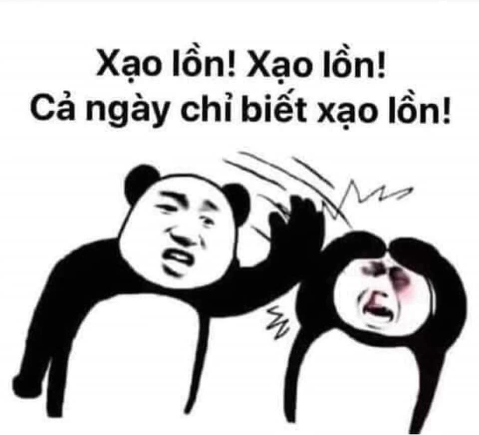 Meme ⚡ Gấu trúc đánh bạn: xạo lon, xạo lon, cả ngày chỉ biết xạo lon