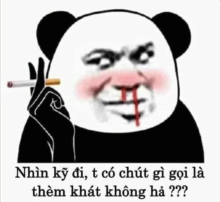 Meme ⚡ Gấu trúc hút thuốc chảy máu mũi: nhìn kỹ đi tao có chút gì gọi là thèm khát không?