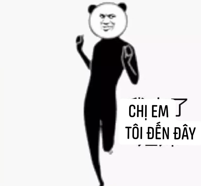 Meme ⚡ Gấu trúc nói chị em tôi đến đây