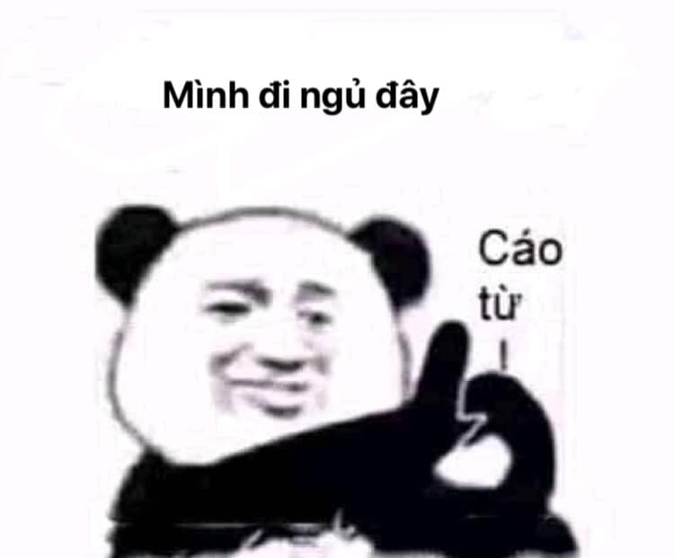 Meme ⚡ Gấu trúc nói mình đi ngủ đây, cáo từ