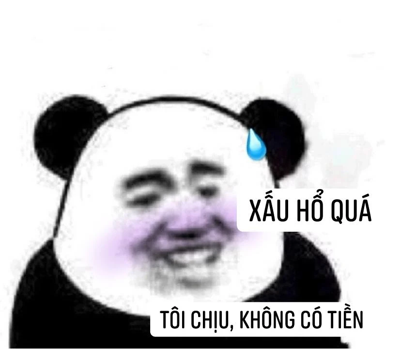 Meme ⚡ Gấu trúc nói xấu hổ quá tôi chịu tôi không có tiền