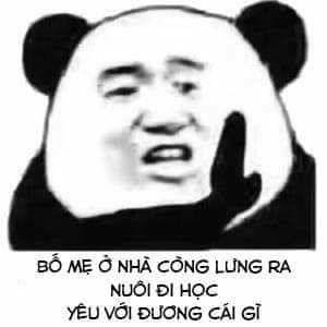 Meme ⚡ Gấu trúc xua tay bố mẹ ở nhà còng lưng nuôi đi học, yêu đương cái gì