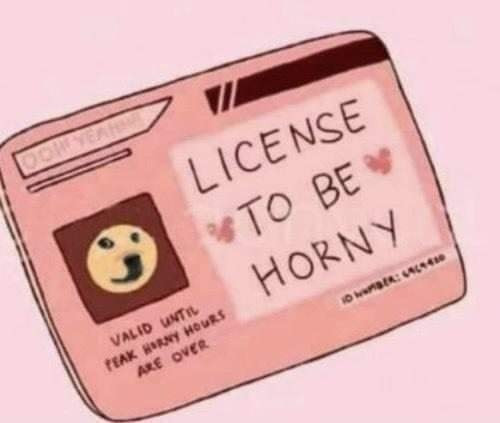Meme ⚡ Giấy phép Hỏny – License to be horny