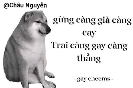 Meme ⚡ Gừng càng già càng cay, trai càng gay càng thẳng