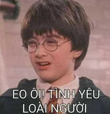 Meme ⚡ Harry Potter nhăn mặt nói eo ôi tình yêu loài người