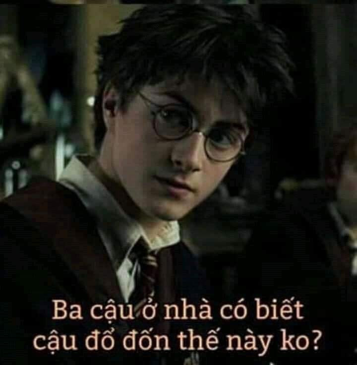 Meme ⚡ Harry Potter nói ba cậu ở nhà có biết cậu đổ đốn thế này không?