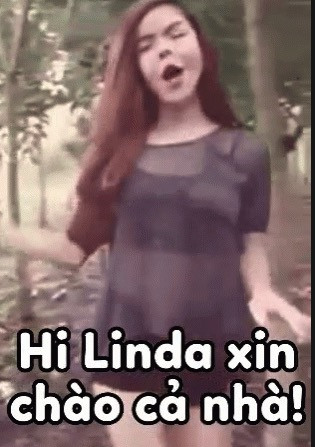 Meme ⚡ Hi Linda xin chào cả nhà – meme Cẩm Lan Sục