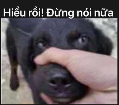 Meme ⚡ Hiểu rồi đừng nói nữa. Lấy tay giữ mồm chó.