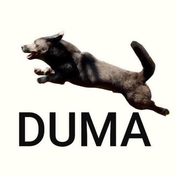 Meme ⚡ Logo Duma con chó Dúi đen