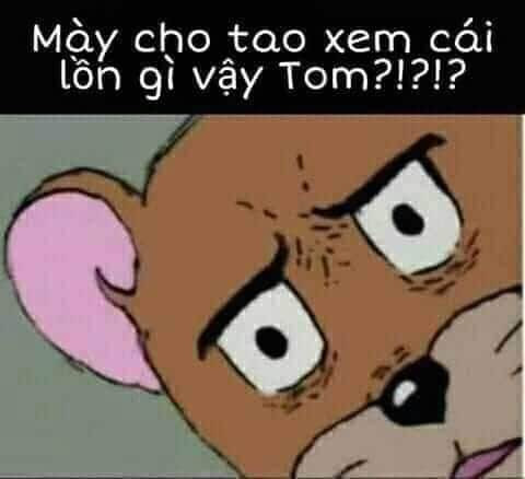 Meme ⚡ Mày cho tao xem cái lon gì vậy Tom?