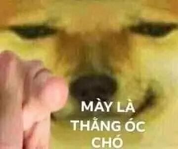 Meme ⚡ Mày là thằng óc chó – chó vàng chỉ tay vào mặt