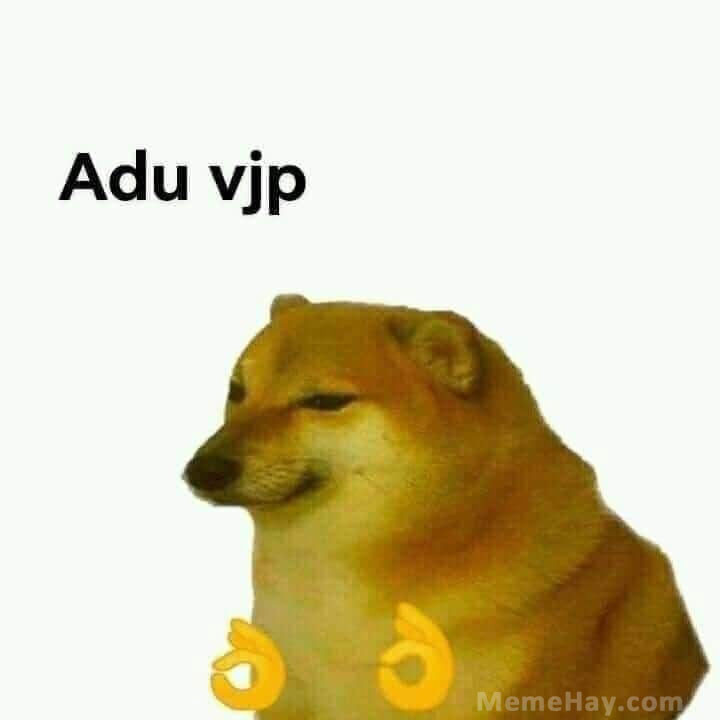 Meme ⚡ Meme chó vàng adu vjp – á đù vip