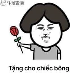 Meme ⚡ Meme tặng hoa – tặng cho chiếc bông