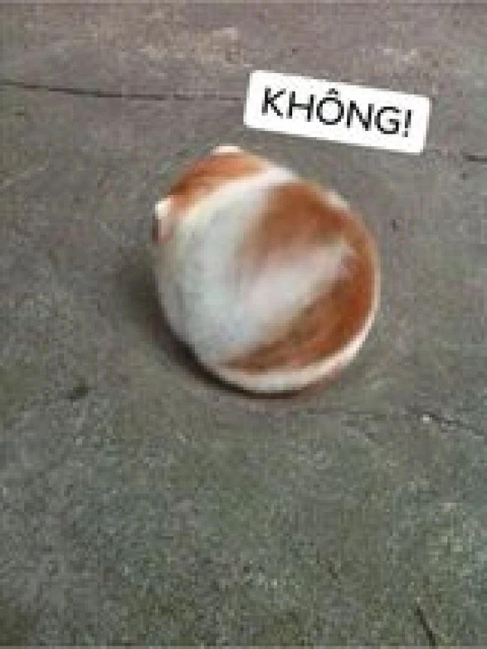 Meme ⚡ Mèo béo ú tròn vo nói không dứt khoát