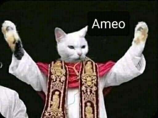 Meme ⚡ Mèo cha xứ nói ameo – amen