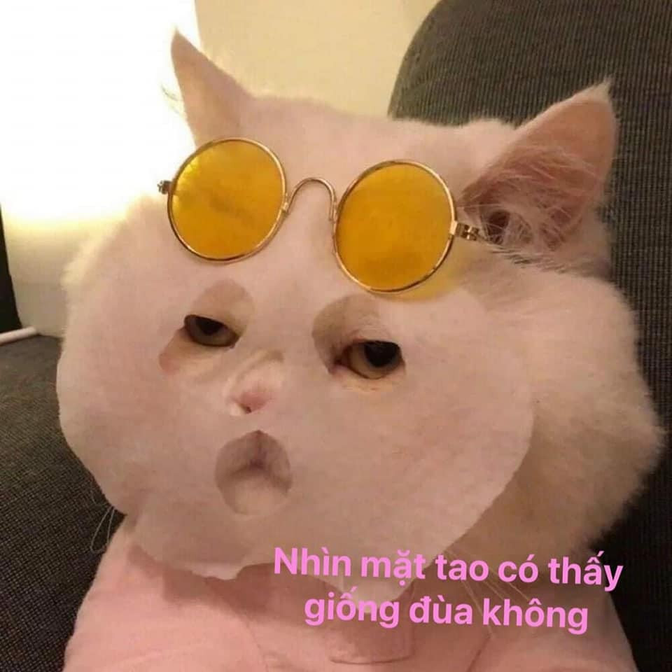 Meme ⚡ Mèo đắp mặt nạ nói nhìn mặt tao có thấy giống đùa không?