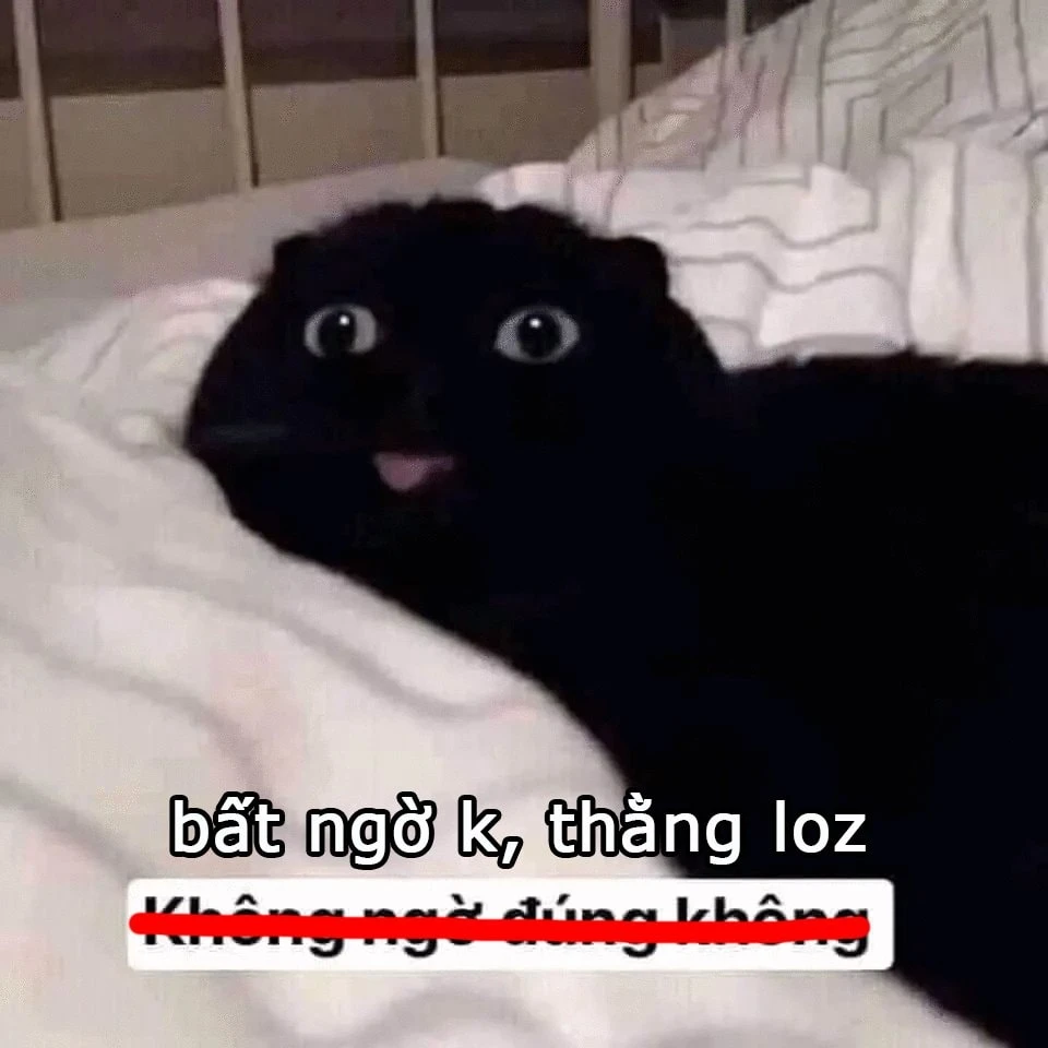 Meme ⚡ Mèo đen nói bất ngờ không thằng loz, không ngờ đúng không?