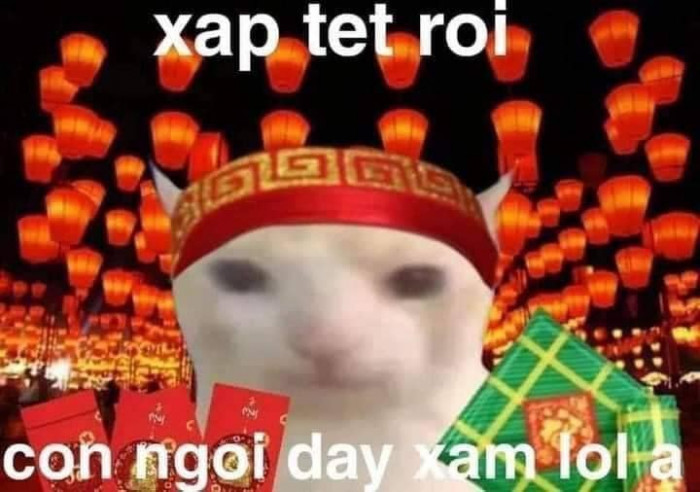 Meme ⚡ Mèo tết: Sắp tết rồi còn ngồi đây xàm lol à?