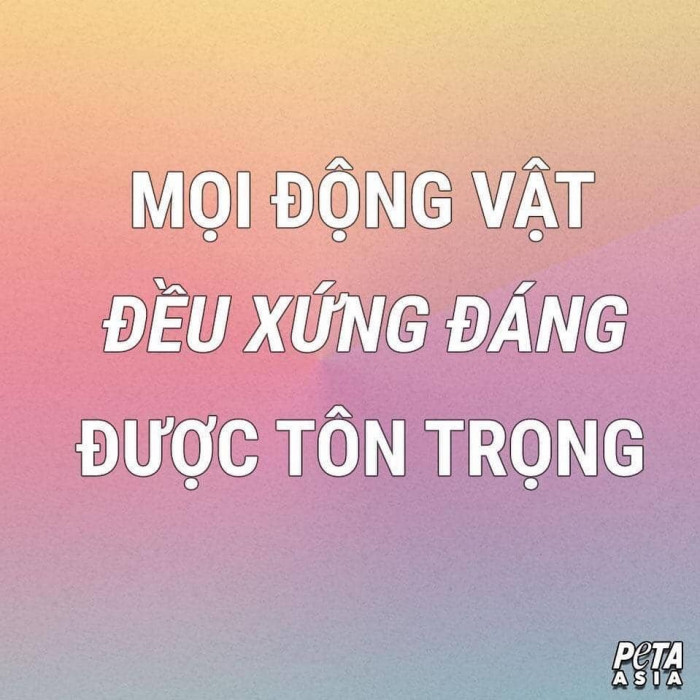 Meme ⚡ Mọi động vật đều xứng đáng được tôn trọng