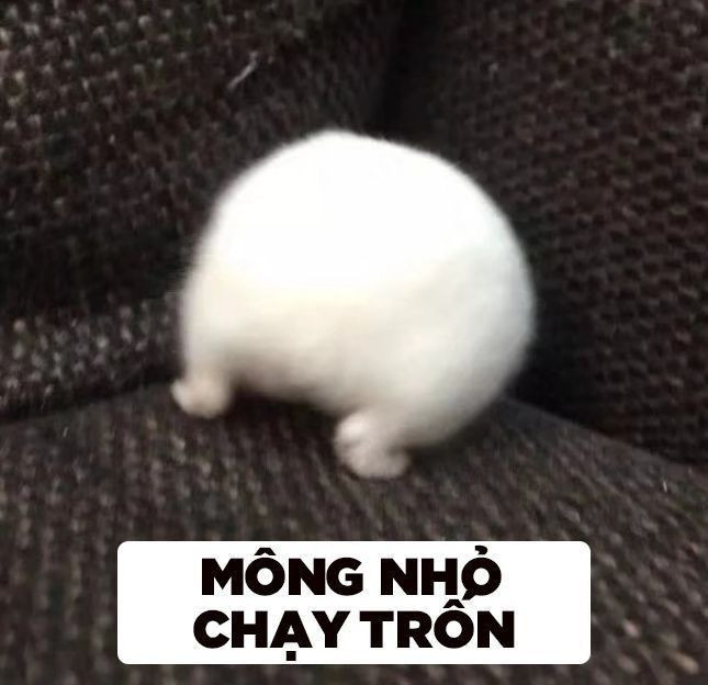 Meme ⚡ Mông nhỏ chạy trốn