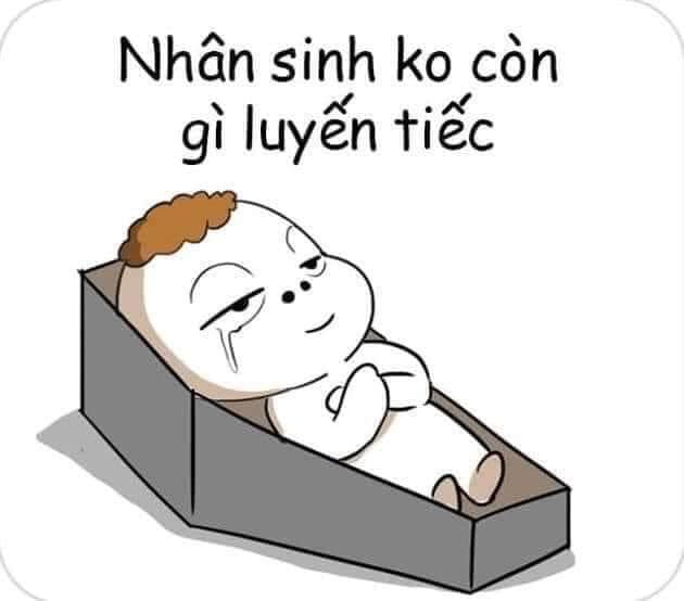 Meme ⚡ Nằm trong quan tài nói nhân sinh không còn gì luyến tiếc