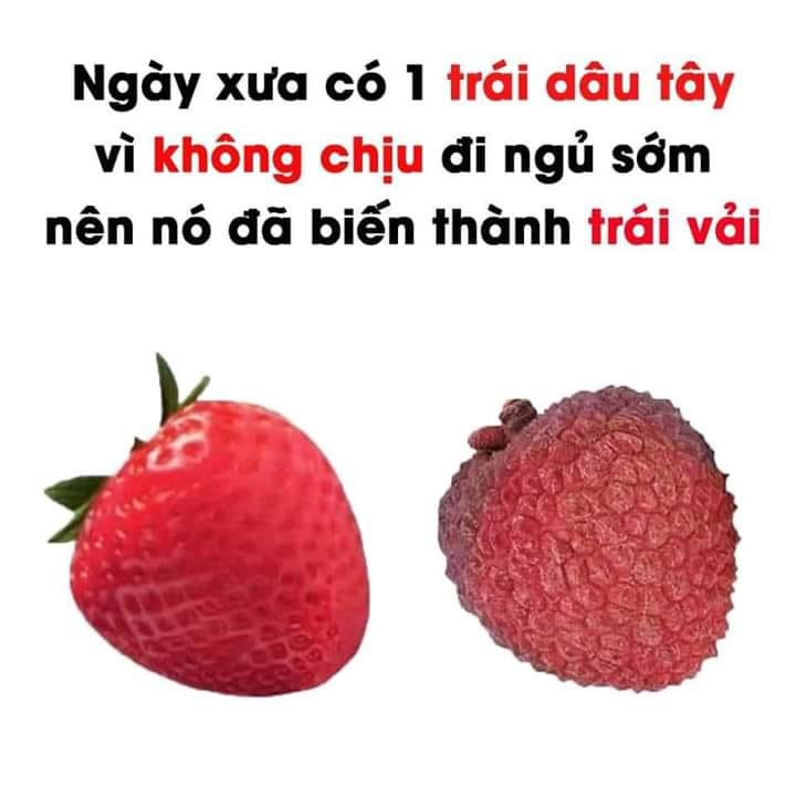 Meme ⚡ Ngày xưa có một trái dâu tây vì không chịu ngủ sớm nên nó đã biến thành trái vải