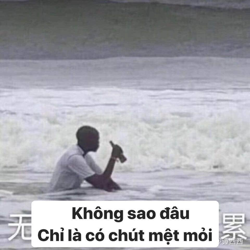 Meme ⚡ Ngồi giữa sóng biển uống bia: không sao đâu, chỉ là có chút mệt mỏi