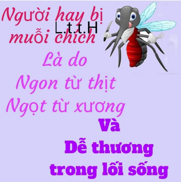 Meme ⚡ Người hay bị muỗi chính là do ngon từ thịt ngọt từ xương