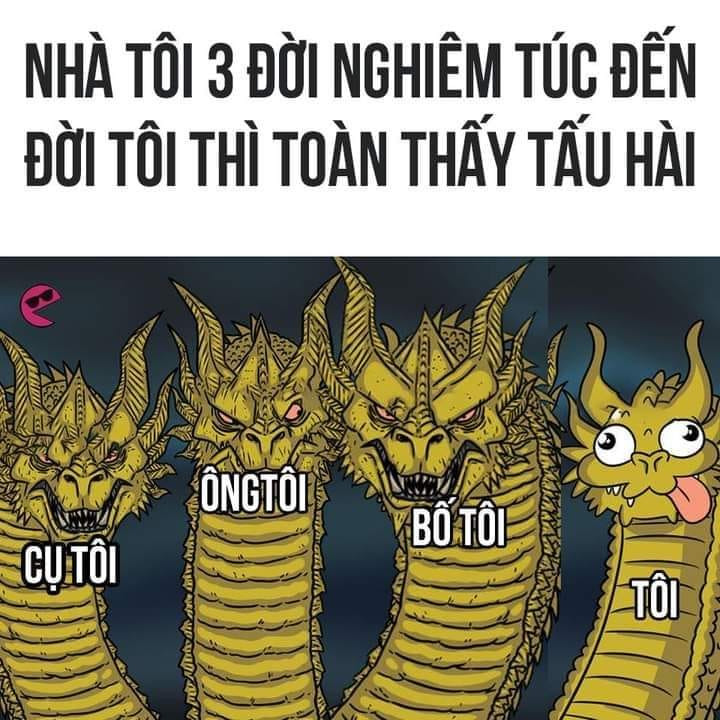 Meme ⚡ Nhà tôi 3 đời nghiêm túc đến đời tôi thì tấu hài