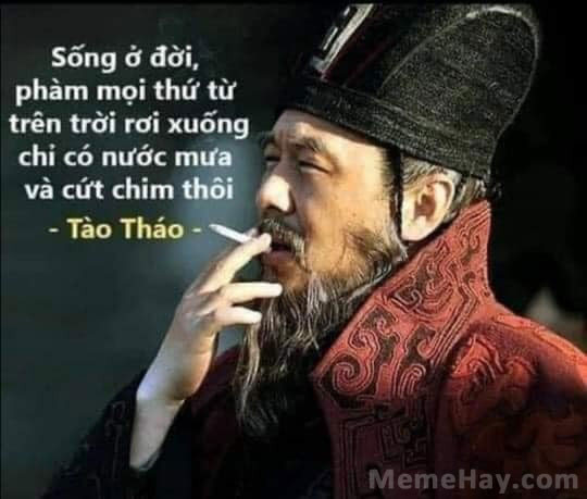 Meme ⚡ Sống ở đời, phàm mọi thứ trên trời rơi xuống chỉ có nước mưa và cứt chim thôi!