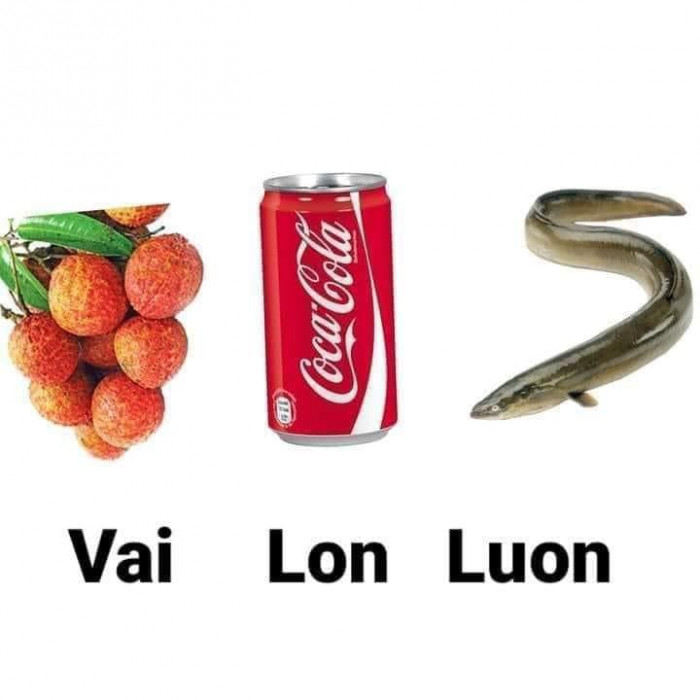 Meme ⚡ Quả Vải – lon Coca – con luon (Vai Lon Luon)