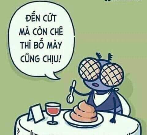 Meme ⚡ Ruồi ngồi ăn nói đến cứt mà còn chê thì bố mày cũng chịu