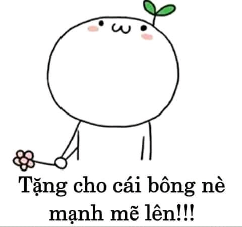 Meme ⚡ Tặng cho cái bông nè, mạnh mẽ lên!