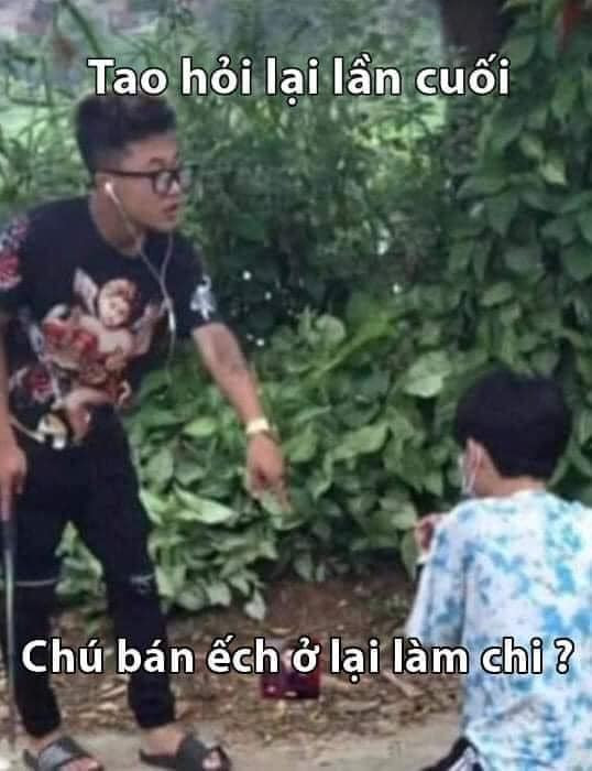 Meme ⚡ Tao hỏi lại lần cuối chú bán ếch ở lại làm chi?