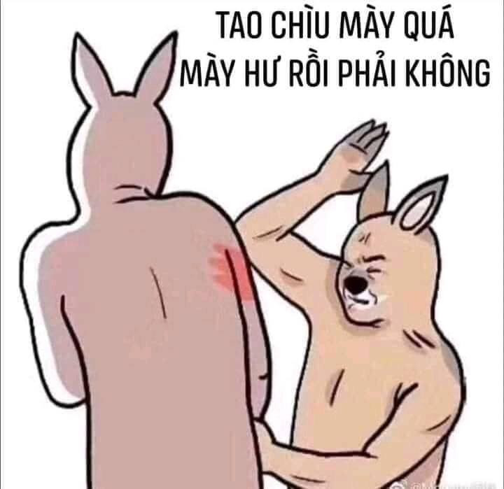 Meme ⚡ Thỏ đánh bạn đỏ tay nói: Tao chiều mày quá mày hư rồi phải không?