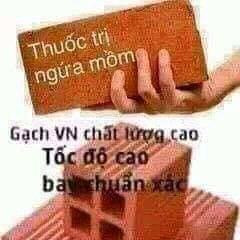 Meme ⚡ Thuốc trị ngứa mồm – gạch Việt Nam chất lượng cao
