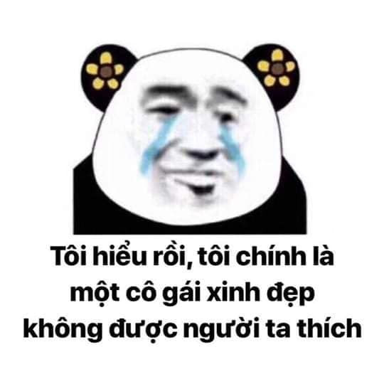 Meme ⚡ Tôi hiểu rồi tôi là một cô gái xinh đẹp không được người ta thích